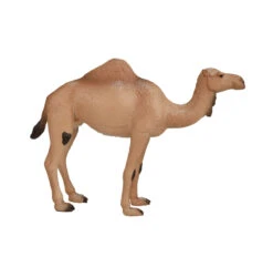 Dromedaris Mojo 387113 6 Dromedaris Mojo 387113 -Kinderspeelgoedwinkel 0091268aa42e2adec2a31d5840e1da8cb12d1f58