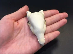 IJsbeer ZZZ Takara Tomy Sleepy -Kinderspeelgoedwinkel 00d231f08bb1d075b914f0ec45387a5312479940