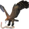 Wedgetail Eagle + Brown Snake
