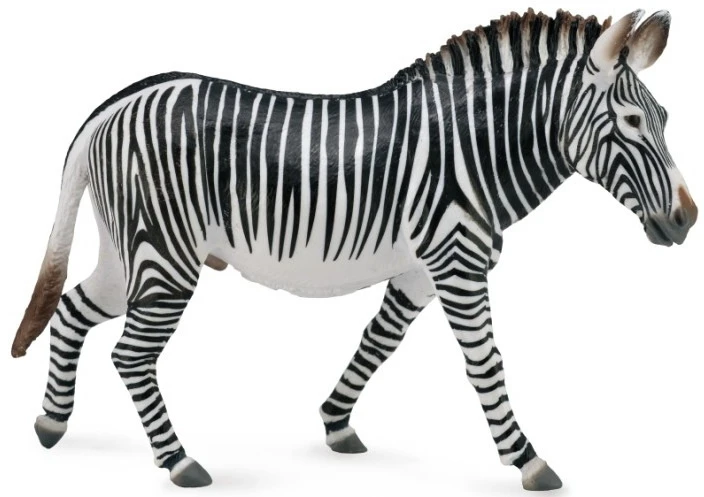Zebra Grevy's CollectA 88773 1 Zebra Grevy's CollectA 88773