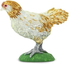 Ameraucana Hen Safari 100090