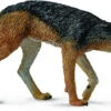 Jakhals Zwartrug CollectA 88665