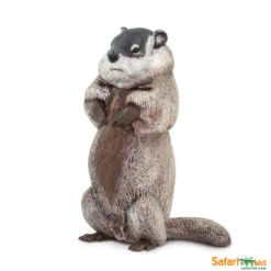 Groundhog (Marmot) S100118