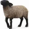 Schaap Suffolk CollectA 88636