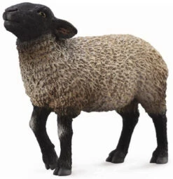 Schaap Suffolk CollectA 88636