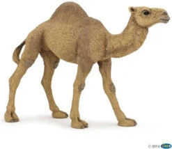 Dromedaris Papo 50151