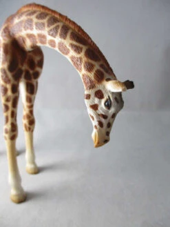 Kinderspeelgoedwinkel -Kinderspeelgoedwinkel 1778a30c3d214f6721078430a6156c81c45dfd96