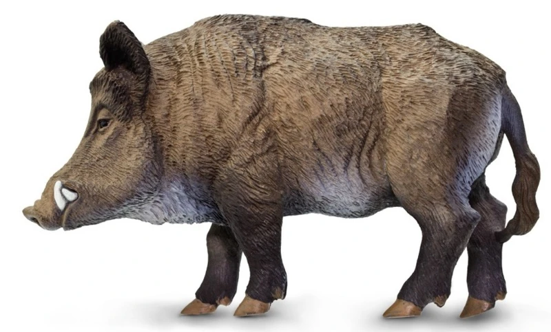 Wild Zwijn S224229 2 Wild Zwijn S224229 - Afbeelding 2