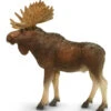 Eland Stier S181029