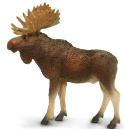 Eland Stier S181029