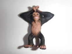 Chimpansee (merkloos)
