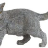 Chartreux Papo 54040