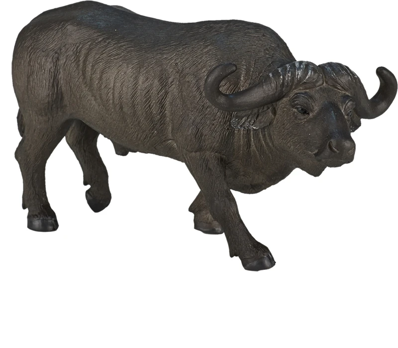 Kaapse Buffel Mojo 387111 1 Kaapse Buffel Mojo 387111