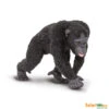 Chimpansee S224729