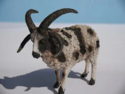 Kinderspeelgoedwinkel -Kinderspeelgoedwinkel 2fe7a5877285c94956833ed058218edf1b745cce