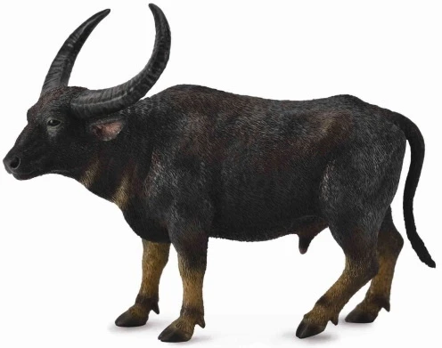 Waterbuffel CollectA 88657 1 Waterbuffel CollectA 88657