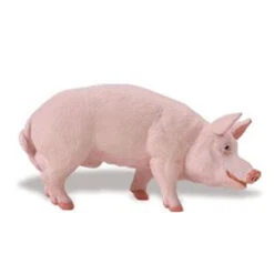 Varken Beer Safari 235229