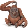 Oerang-oetang Papo 50120