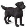 Labrador Retriever CollectA 88076