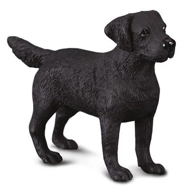 Labrador Retriever CollectA 88076 1 Labrador Retriever CollectA 88076