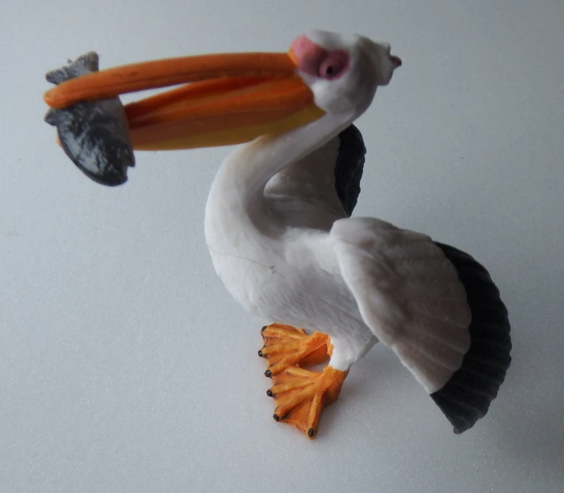 Pelikaan Met Vis 2 Pelikaan Met Vis - Afbeelding 2