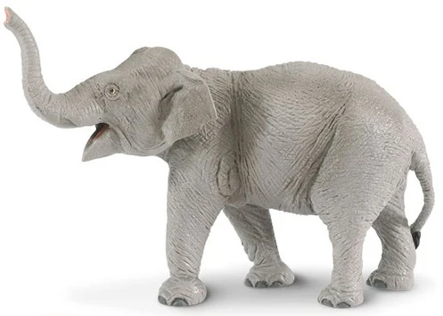 Olifant Aziatisch S227529 1 Olifant Aziatisch S227529