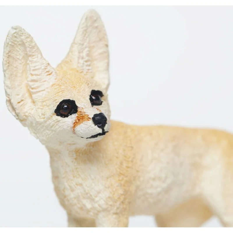 Fennek S228129 2 Fennek S228129 - Afbeelding 2