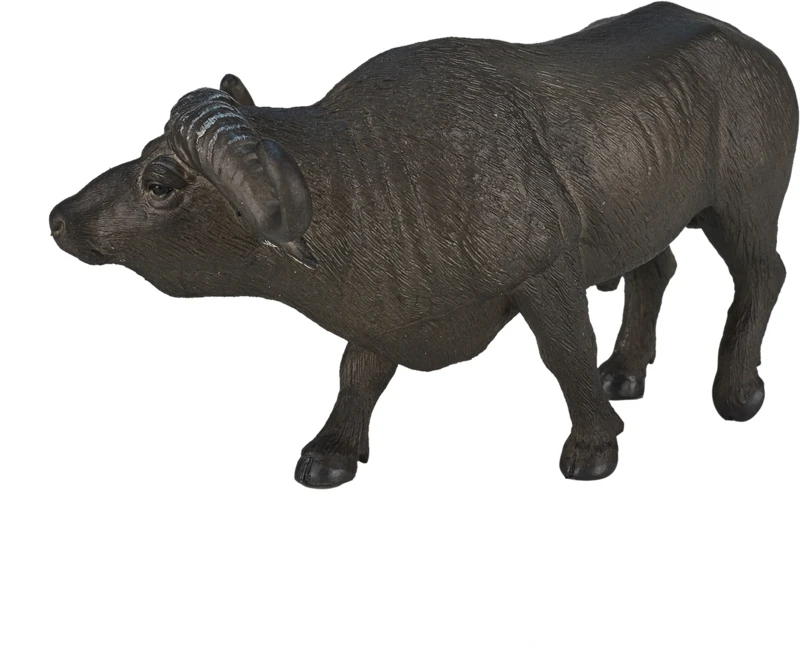 Kaapse Buffel Mojo 387111 2 Kaapse Buffel Mojo 387111 - Afbeelding 2