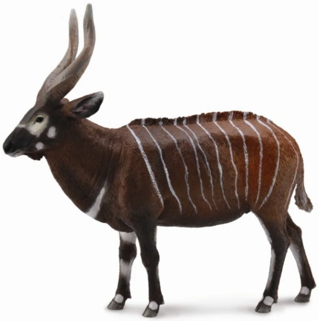 Bongo Antilope CollectA 88809 1 Bongo Antilope CollectA 88809