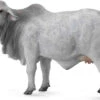 Brahman Rund CollectA 88580