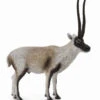Chiru (Tibetantilope) CollectA 88721