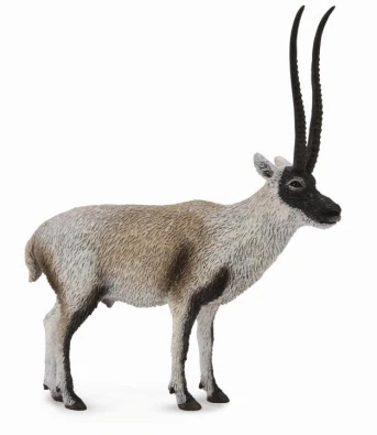 Chiru (Tibetantilope) CollectA 88721 1 Chiru (Tibetantilope) CollectA 88721