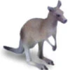 Kangaroo 75480 Klein