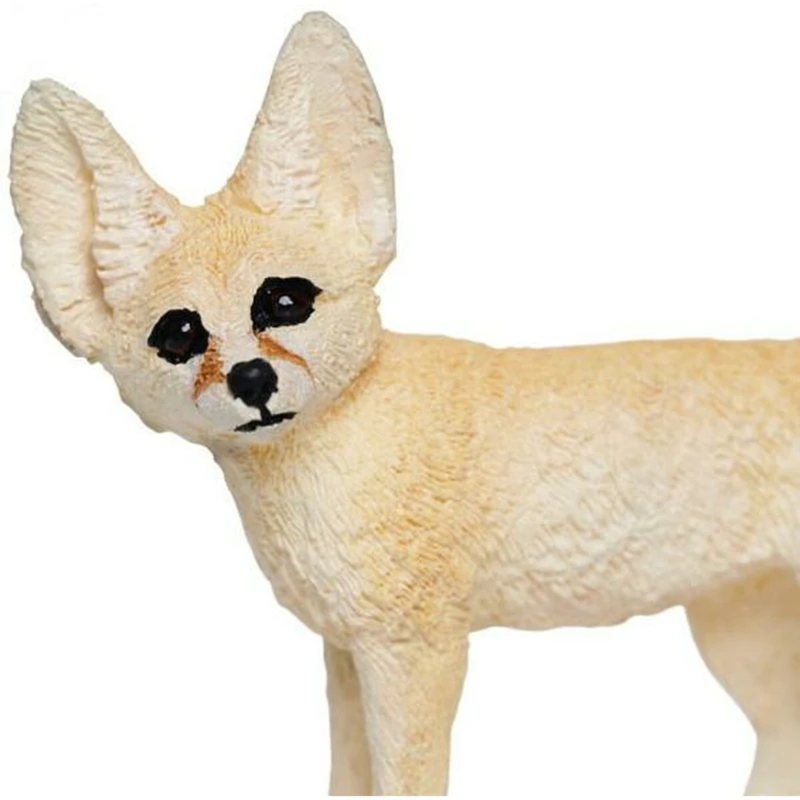 Fennek S228129 3 Fennek S228129 - Afbeelding 3