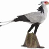 Secretarisvogel CollectA 88796