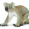 Koala S225329