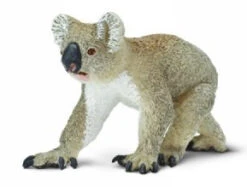 Koala S225329