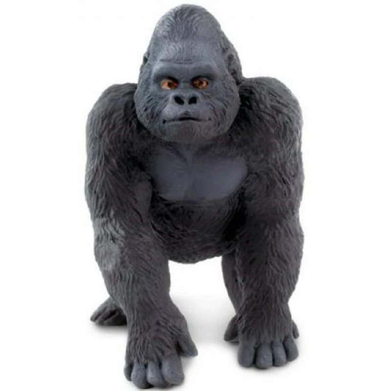 Gorilla S282829 1 Gorilla S282829