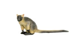 Boomkangeroo Southland Replicas