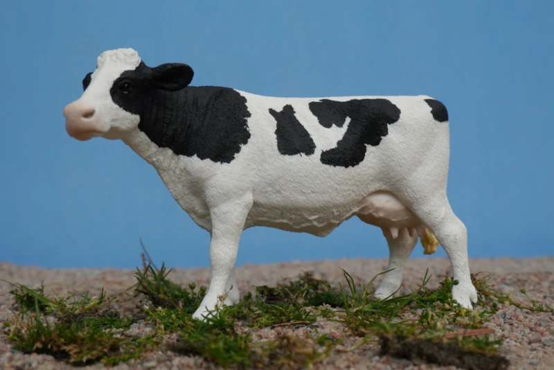 Zwartbont Koe Schleich 13797 2 Zwartbont Koe Schleich 13797 - Afbeelding 2