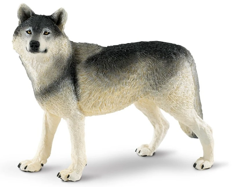 Grijze Wolf XXL S112689 2 Grijze Wolf XXL S112689 - Afbeelding 2