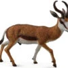 Springbok CollectA 88684