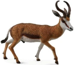 Springbok CollectA 88684
