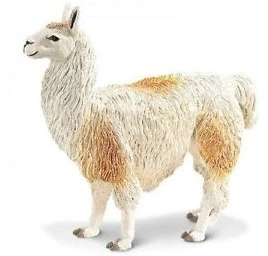 Lama S227429 1 Lama S227429