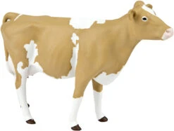 Guernsey Koe Safari 162029