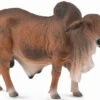 Brahman Rund Stier CollectA 88599