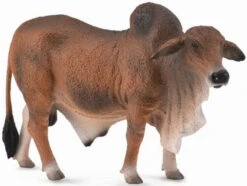 Brahman Rund Stier CollectA 88599