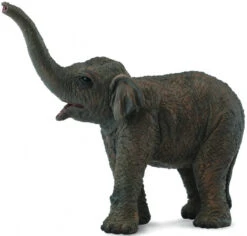 Olifant Aziatische Kalf CollectA 88487
