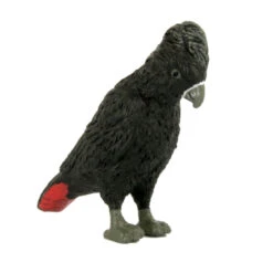 Roodstaart Kaketoe 75382