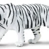 Tijger Witte Siberische S 112089